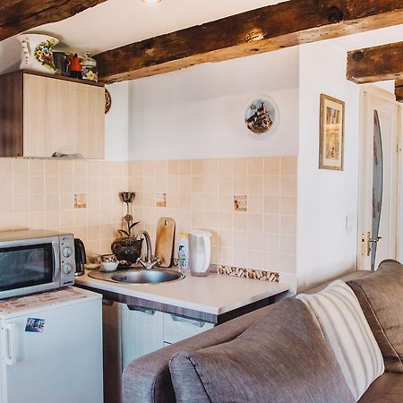 Lviv Amazing Rooftop Apartment Dış mekan fotoğraf