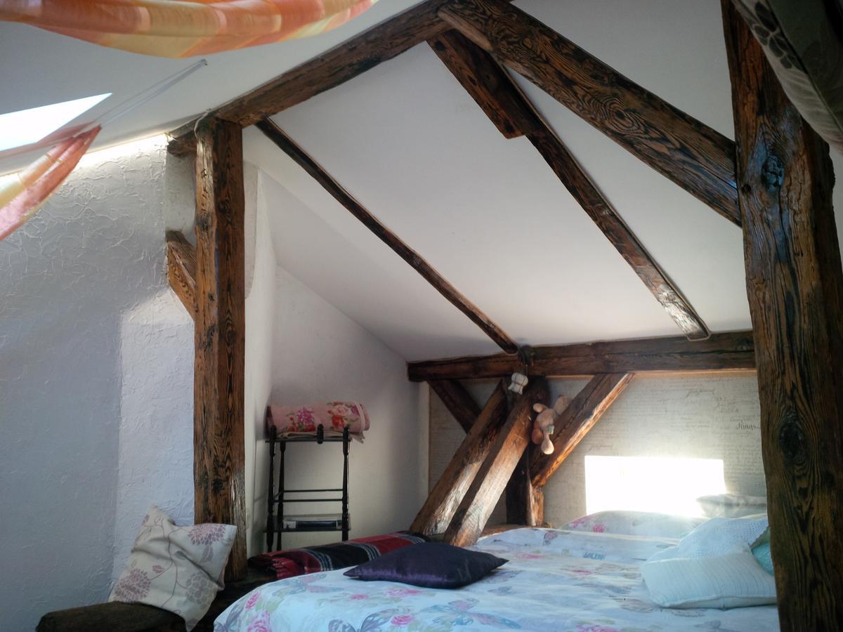 Lviv Amazing Rooftop Apartment Dış mekan fotoğraf