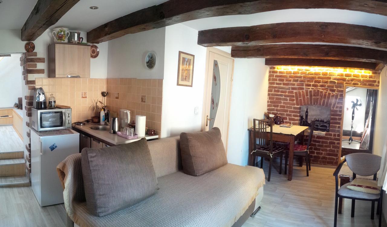 Lviv Amazing Rooftop Apartment Dış mekan fotoğraf