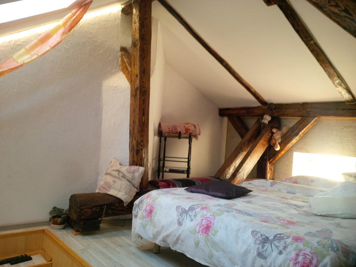 Lviv Amazing Rooftop Apartment Dış mekan fotoğraf