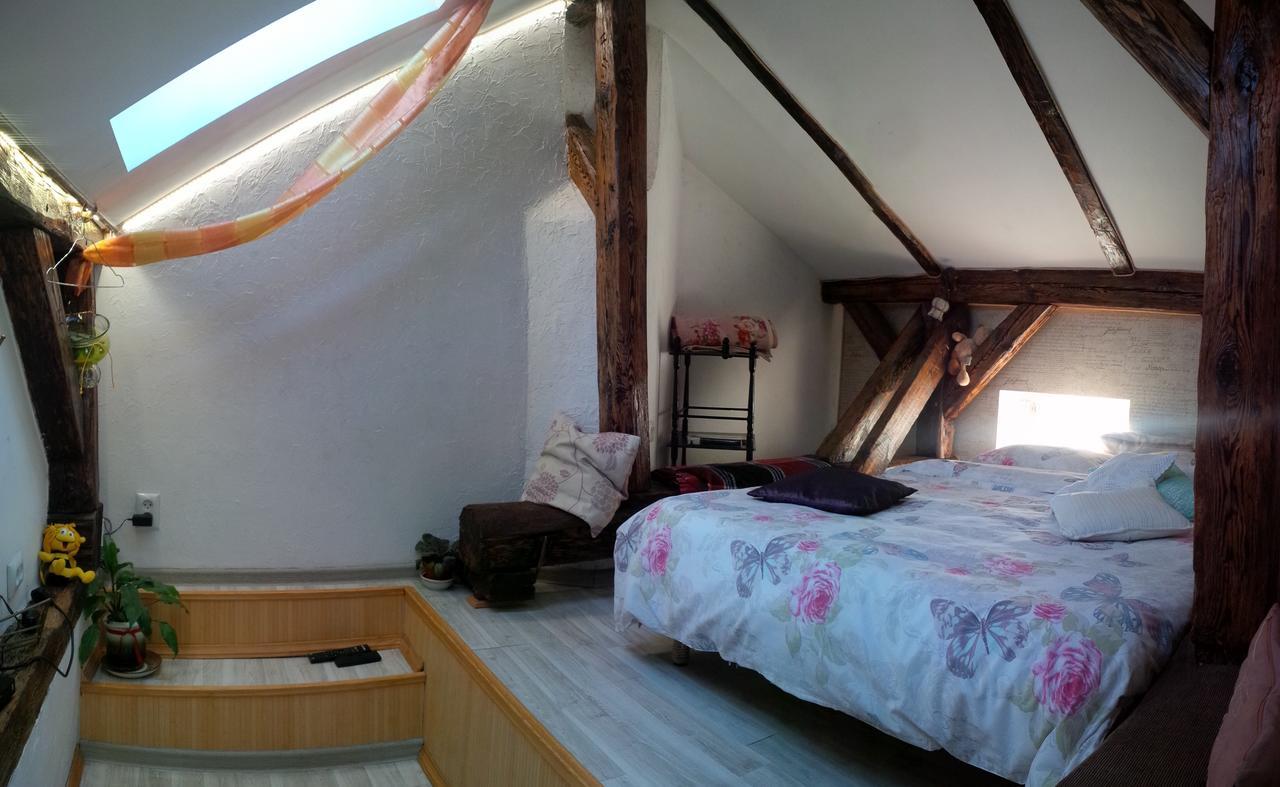 Lviv Amazing Rooftop Apartment Dış mekan fotoğraf